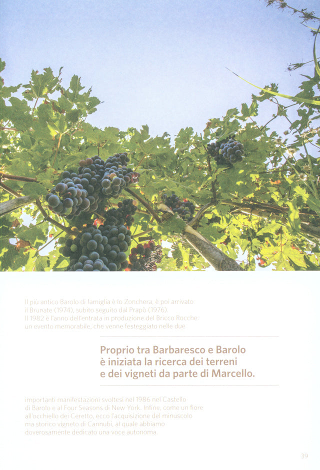 100% Alba (イタリア・アルバ)