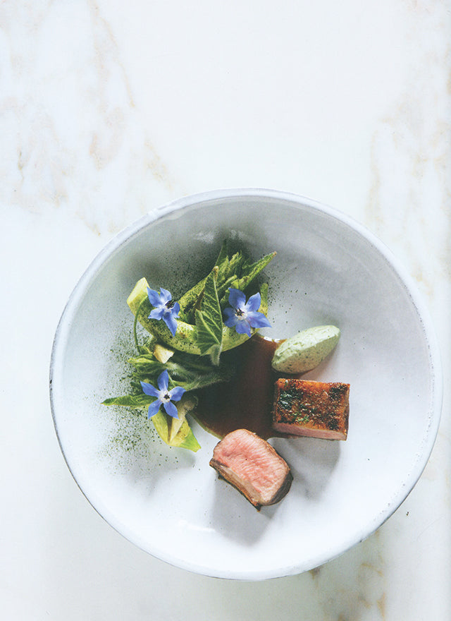 ADN - Volume 1 Alain Ducasse (フランス)