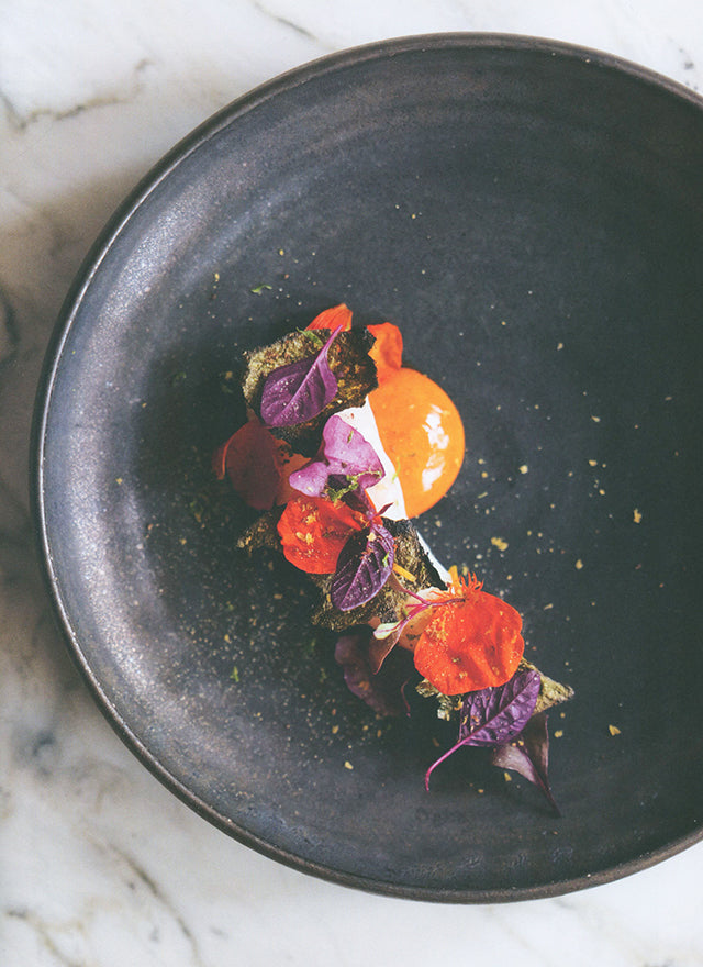 ADN - Volume 1 Alain Ducasse (フランス)