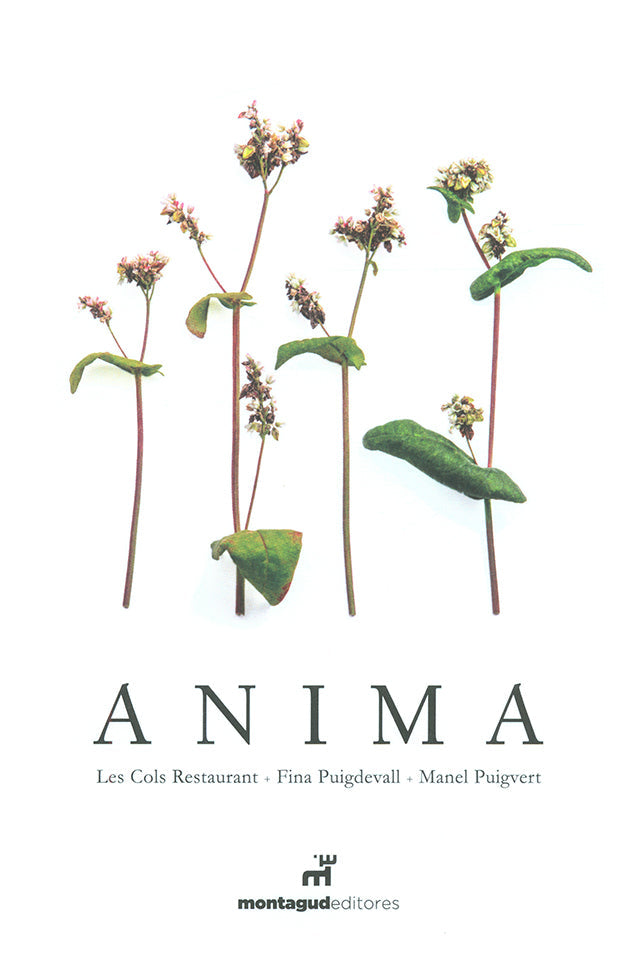 ANIMA (スペイン・オロット)
