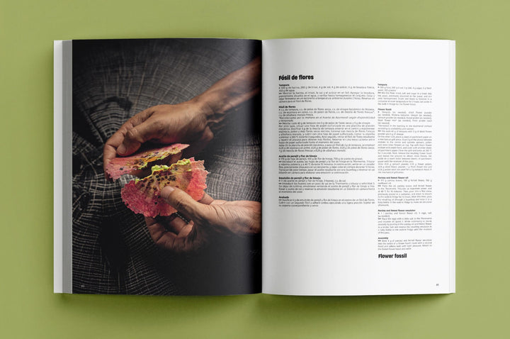 apicius n.43　スペイン語 英語 併記