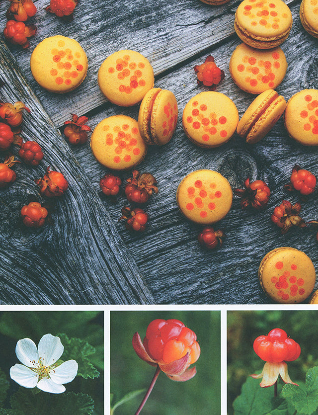 BAKELAND　Nordic Treats Inspired by Nature (北欧)