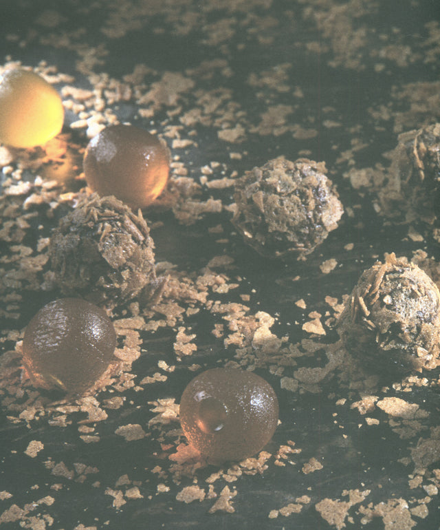 CIOCCOLAMI Paolo griffa (イタリア)