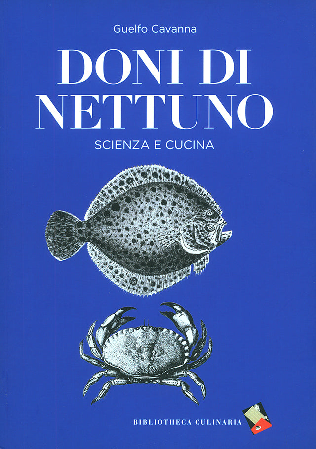 DONI DI NETTUNO (イタリア)