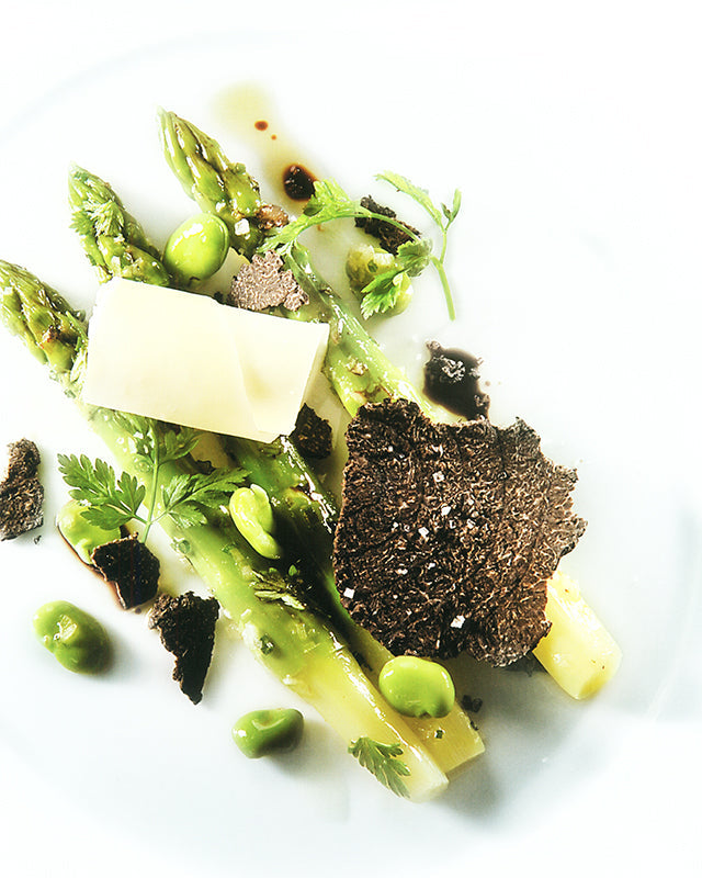 Edgard PALACE (スイス)