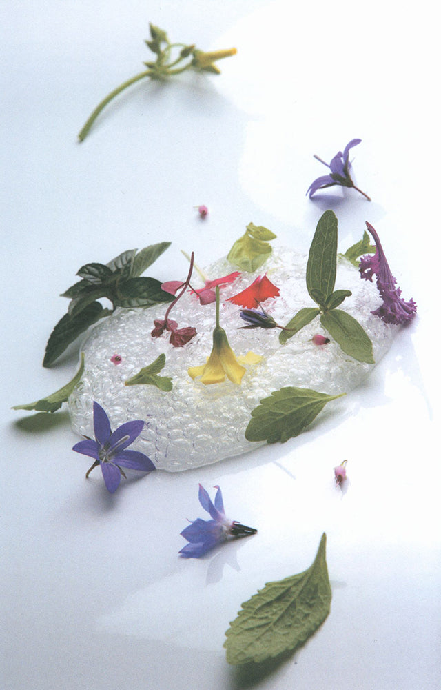El Libro Verde (スペイン)