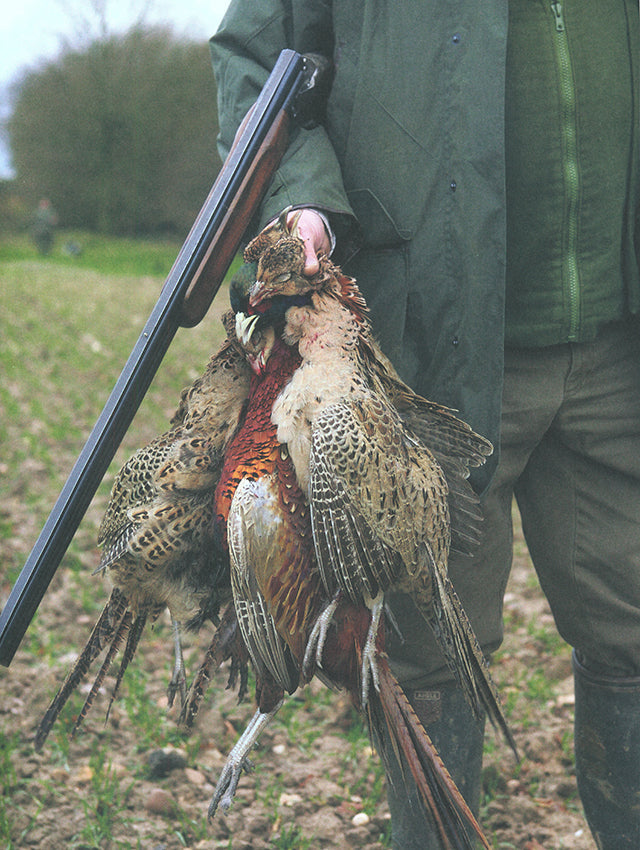 FEATHERS  The Game Larder (イギリス)