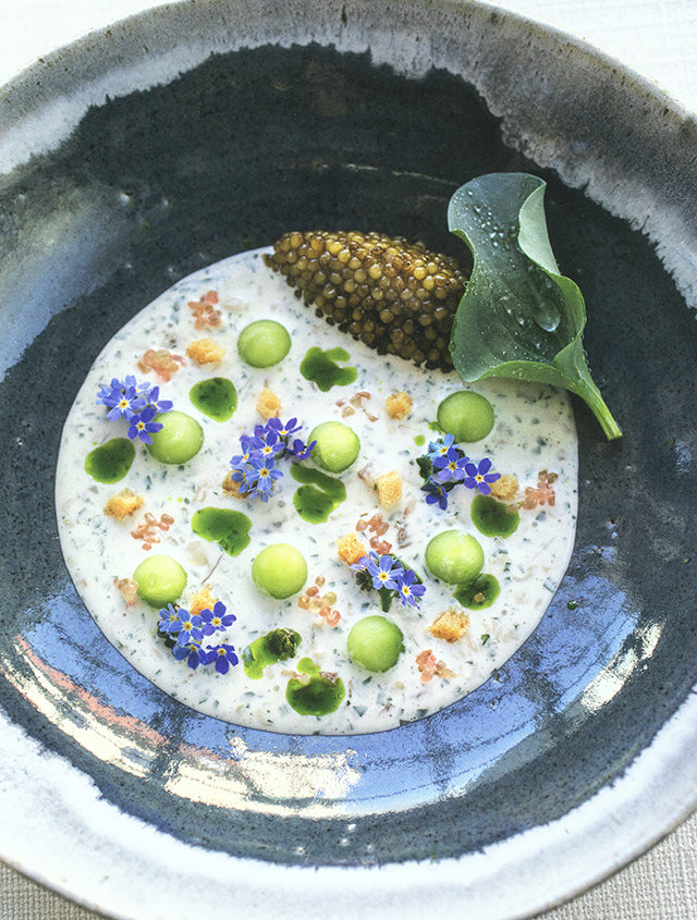 FISH AND SHELLFISH (デンマーク)