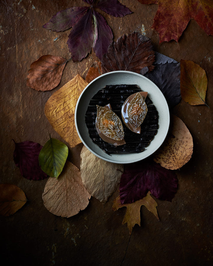 Noma 2.0 : Vegetal, foret, ocean : RENE REDZEPI (デンマーク) フランス語