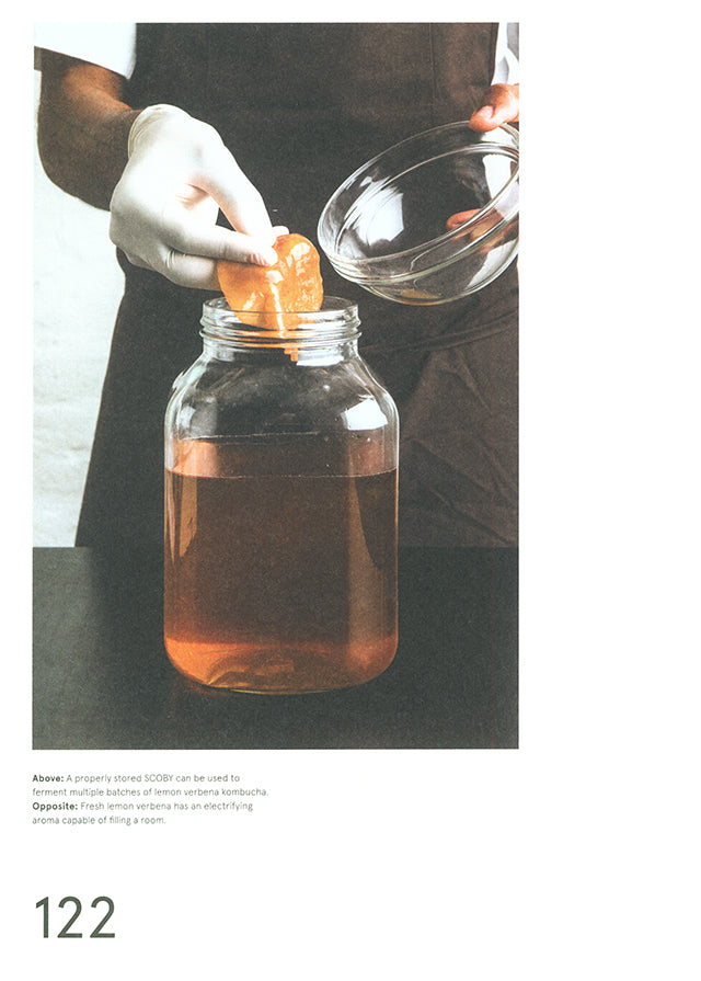 The Noma Guide to Fermentation : RENE REDZEPI (デンマーク)
