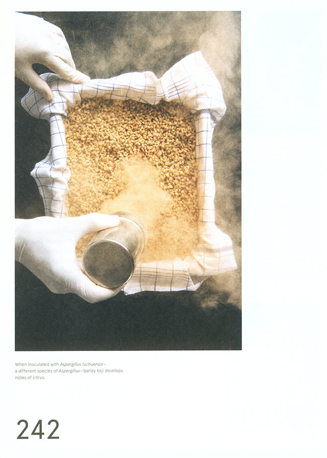 The Noma Guide to Fermentation : RENE REDZEPI (デンマーク)