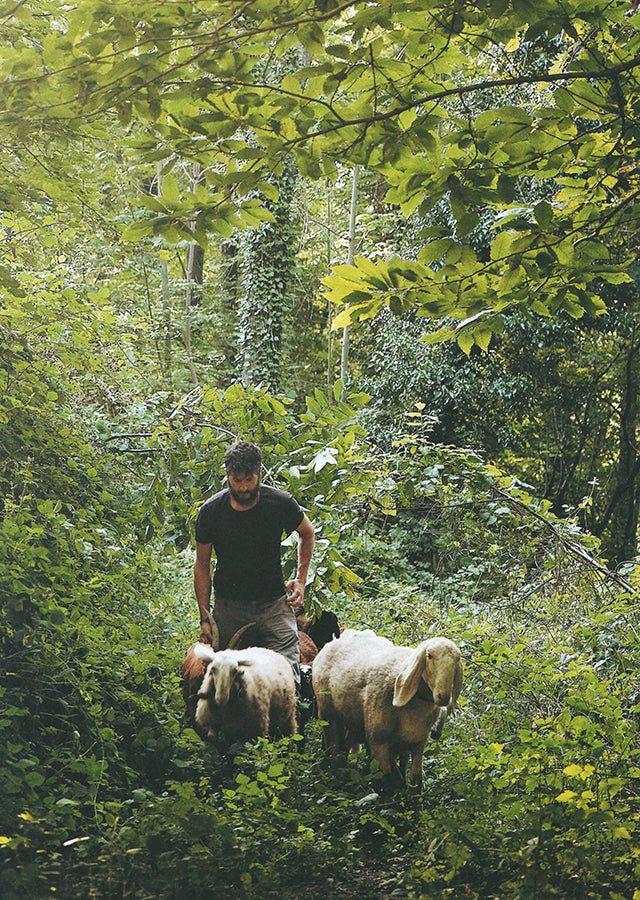 OSTINATI  Slow Food Editore (イタリア)