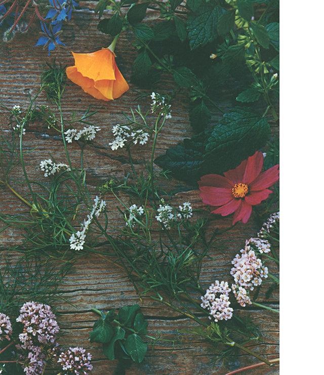 Septime : Bertrand Grébaut (フランス・パリ) フランス語版　中古