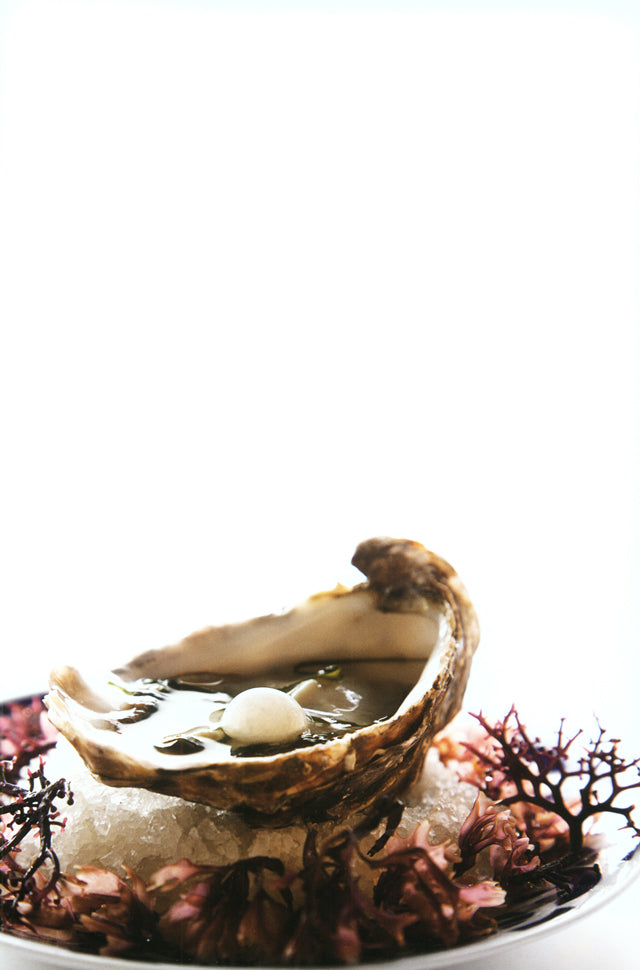 ALBERT ADRIA TAPAS  (スペイン)