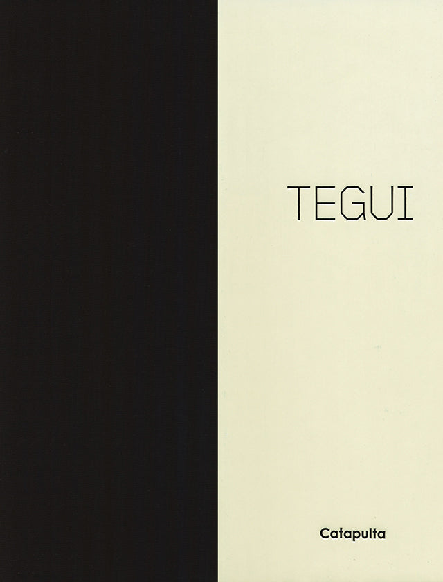 TEGUI (アルゼンチン)
