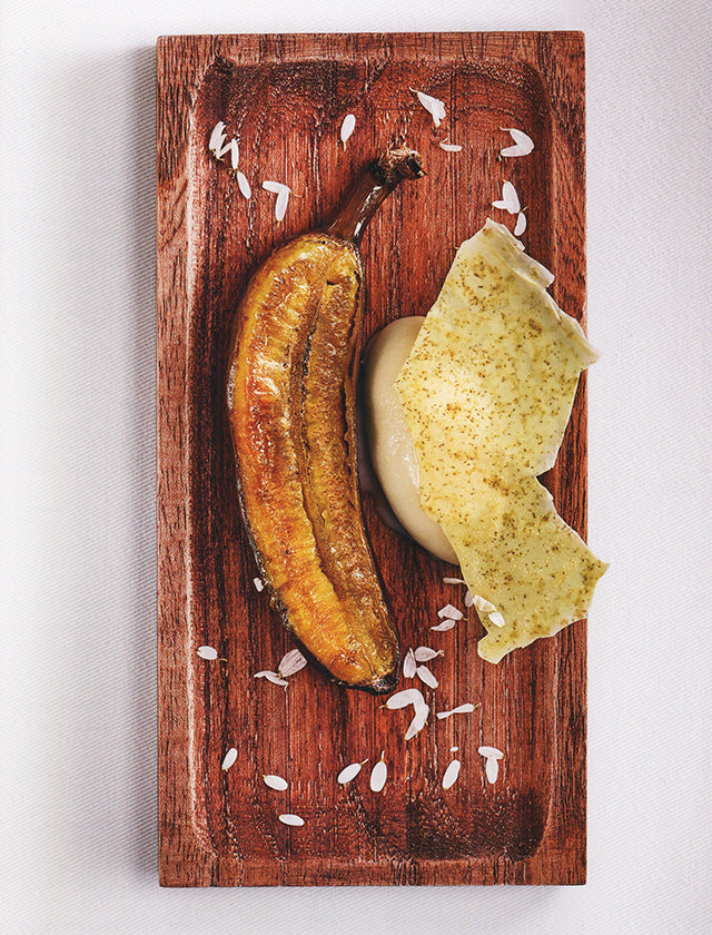 TEGUI (アルゼンチン)
