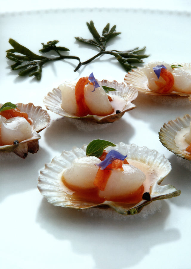 VOYAGE AUX PAYS DES MERVEILLES (フランス　ブルターニュ) 絶版 中古