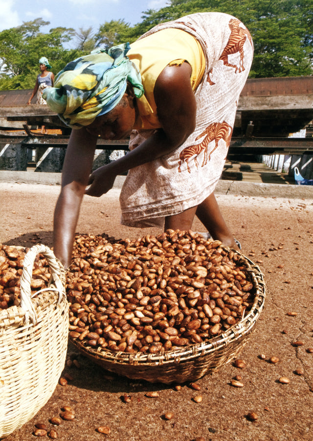 VOYAGE AUX PAYS DES MERVEILLES (フランス　ブルターニュ) 絶版 中古