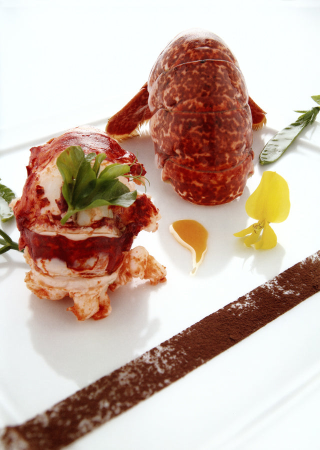 VOYAGE AUX PAYS DES MERVEILLES (フランス　ブルターニュ) 絶版 中古