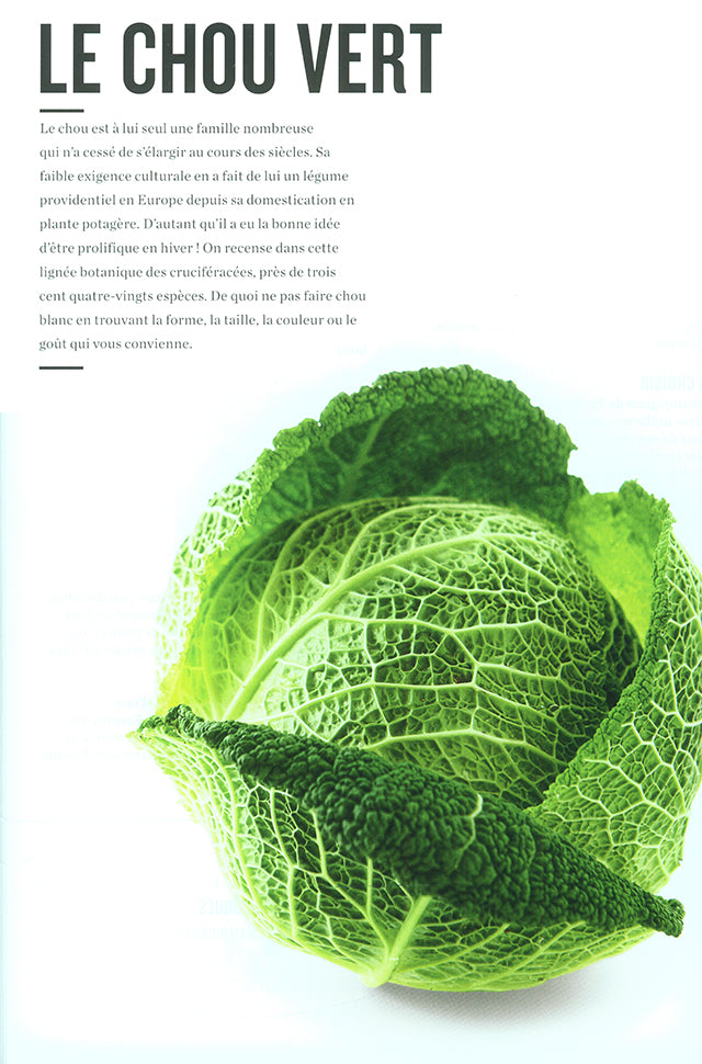 WORKSHOP LA CUISINE PAS A PAS (フランス)