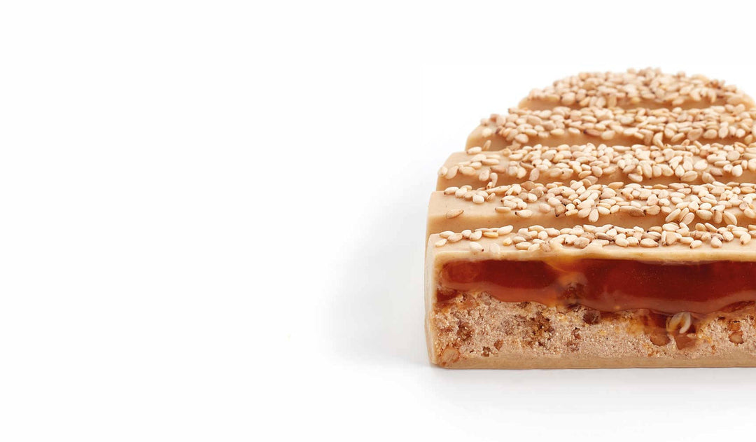 XOK : David Gil (スペイン・バルセロナ)