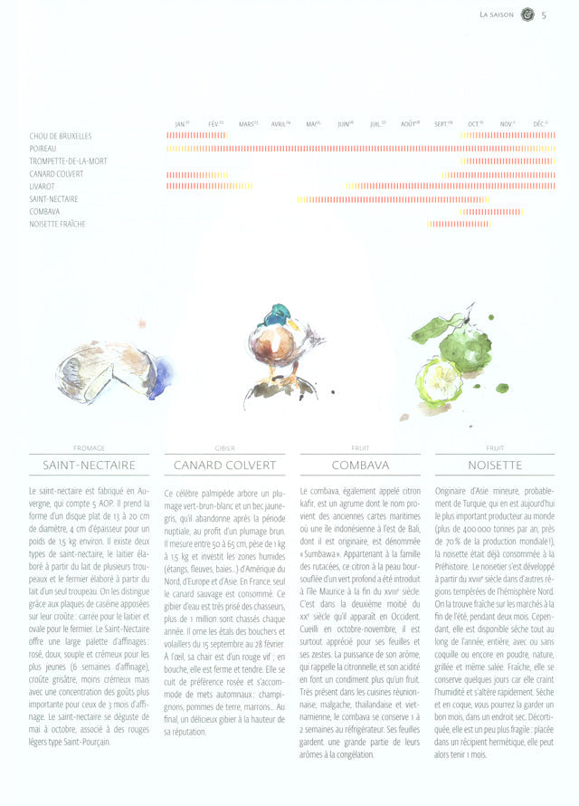 YAM le magazine des chefs  #15　絶版