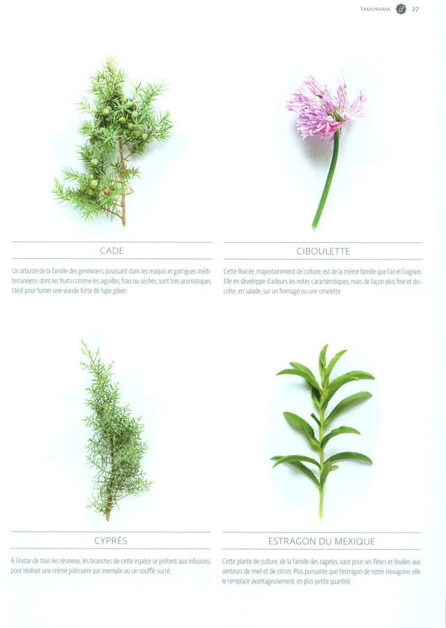 YAM le magazine des chefs  #20　絶版