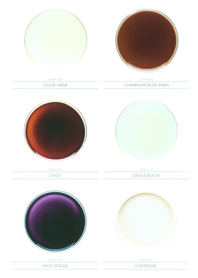 YAM le magazine des chefs  # 30