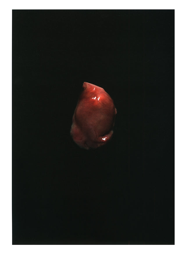 YAM le magazine des chefs  # 33　絶版