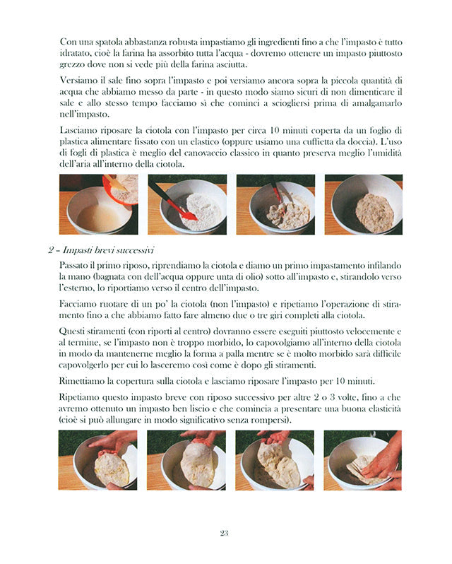 L’ALVEOLO SFUGGENTE (イタリア)
