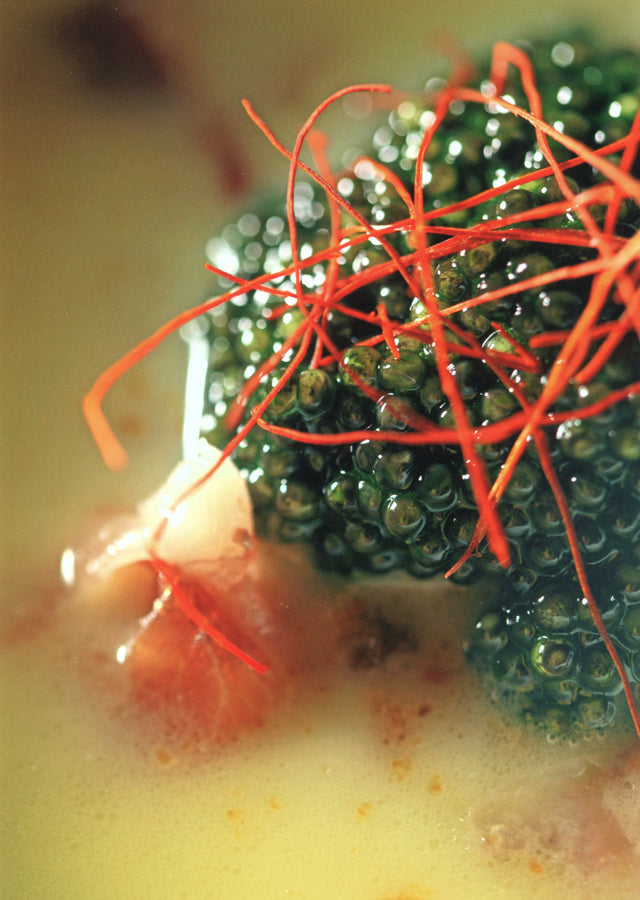 apicius n.14　絶版