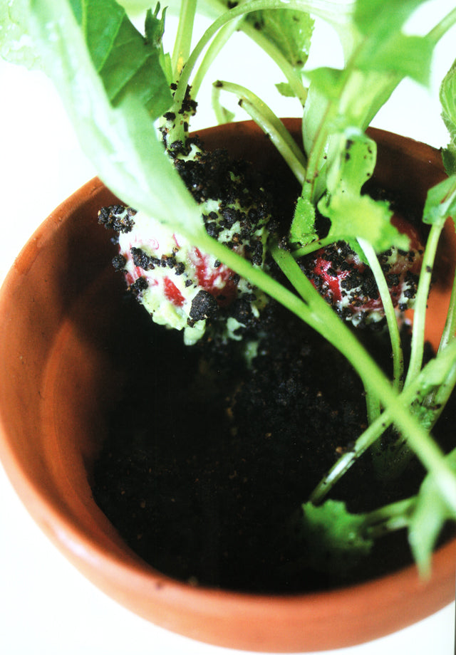 apicius n.15　絶版