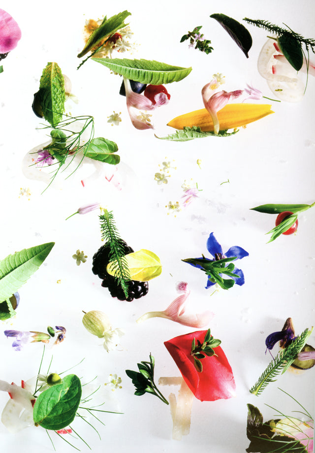 apicius n.15　絶版