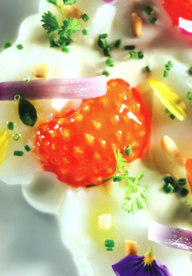 apicius n.16　絶版