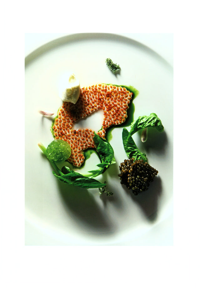 apicius n.16　絶版