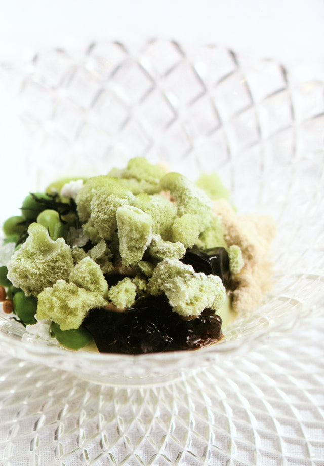 apicius n.16　絶版