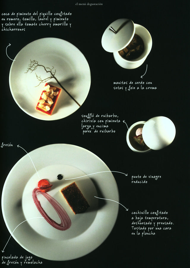 apicius n.17　スペイン語 英語 併記　中古