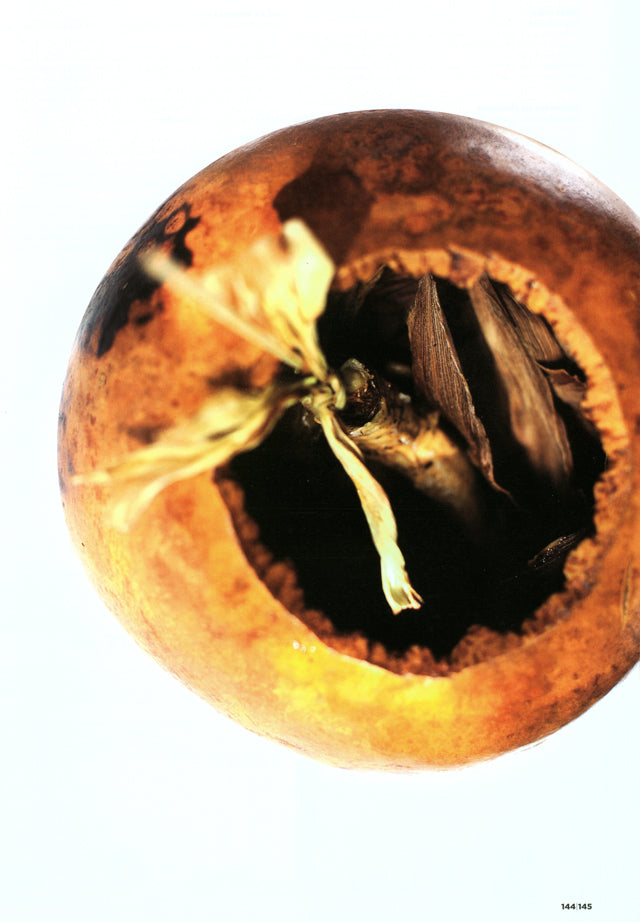 apicius n.19　スペイン語 英語 併記