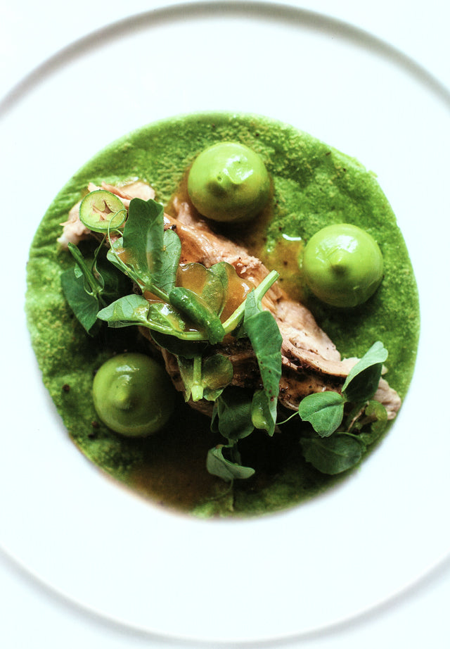 apicius n.19　スペイン語 英語 併記