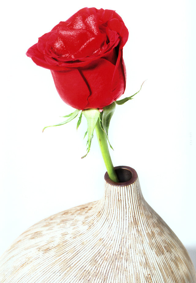 apicius n.20　スペイン語 英語 併記