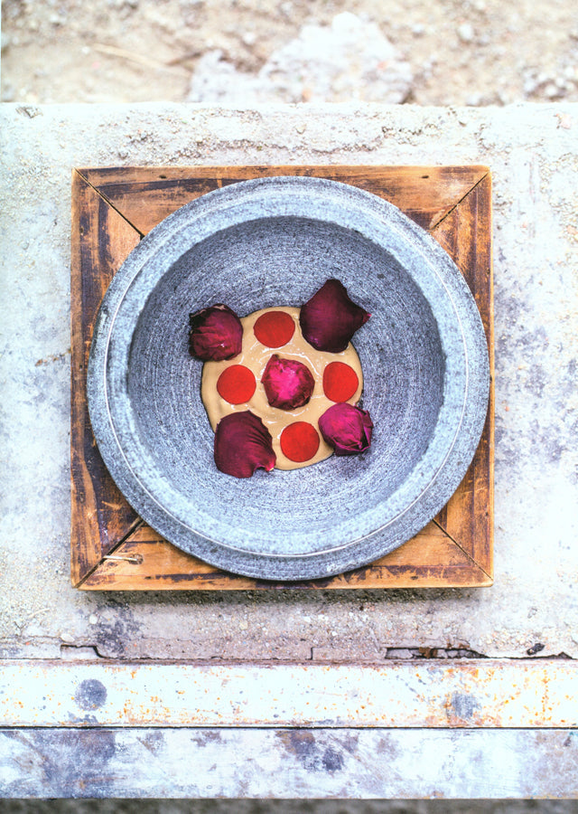 apicius n.24　スペイン語 英語 併記