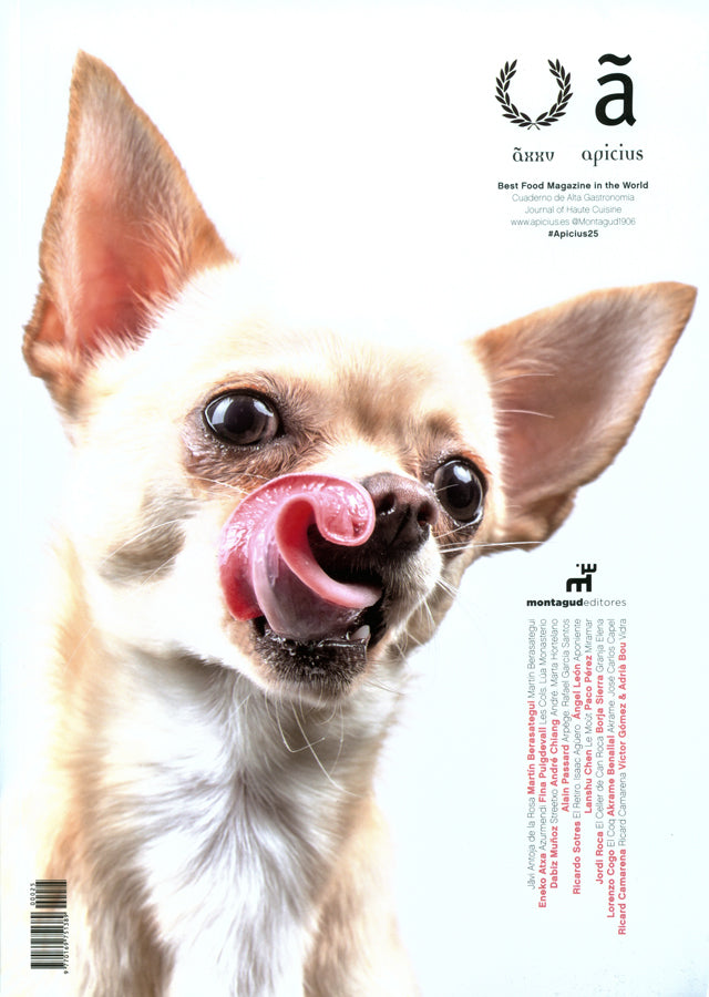 apicius n.25  スペイン語 英語 併記　絶版