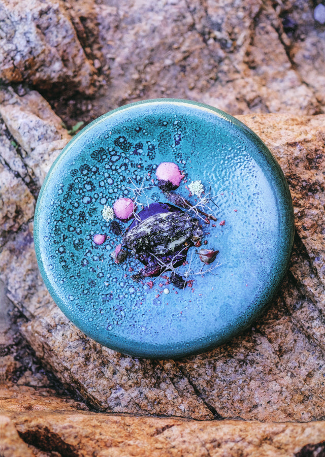 apicius n.25  スペイン語 英語 併記　絶版