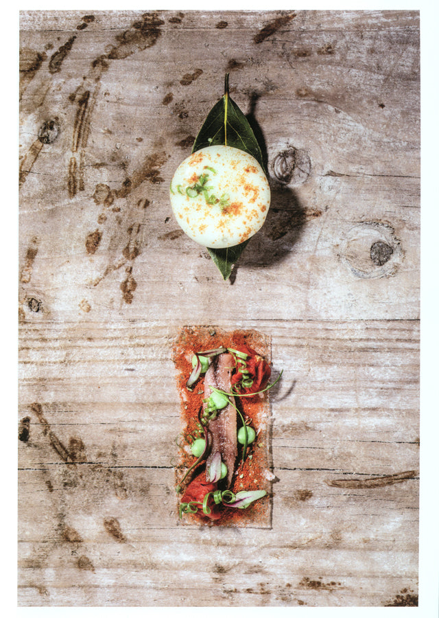 apicius n.26　スペイン語 英語 併記　絶版