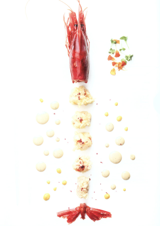 apicius n.28　スペイン語 英語 併記　絶版