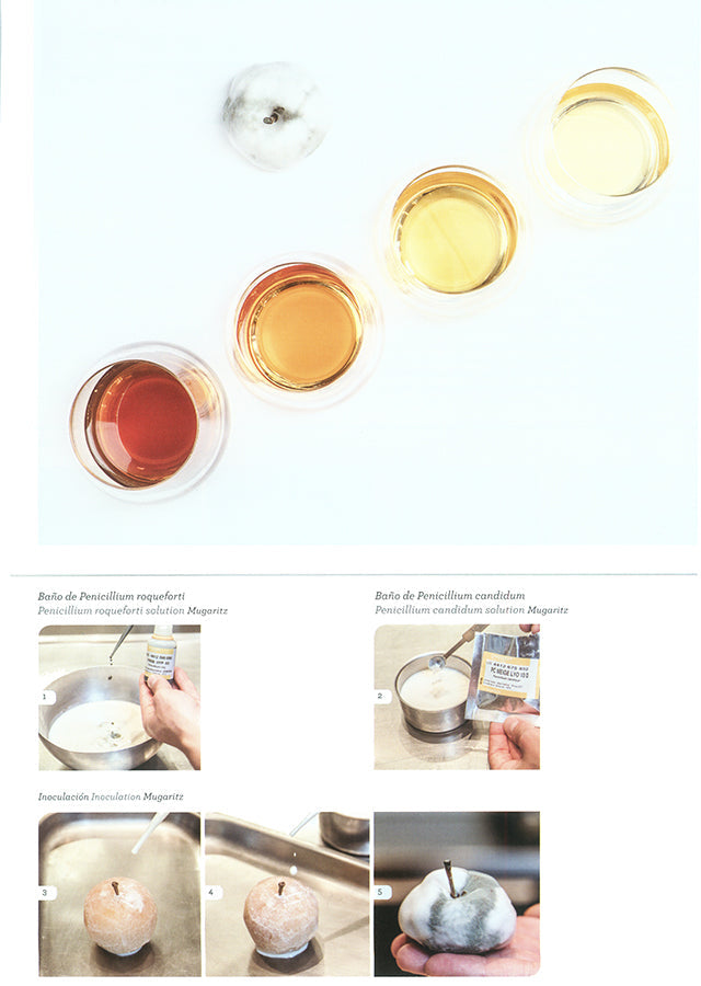 apicius n.29　スペイン語 英語 併記　絶版