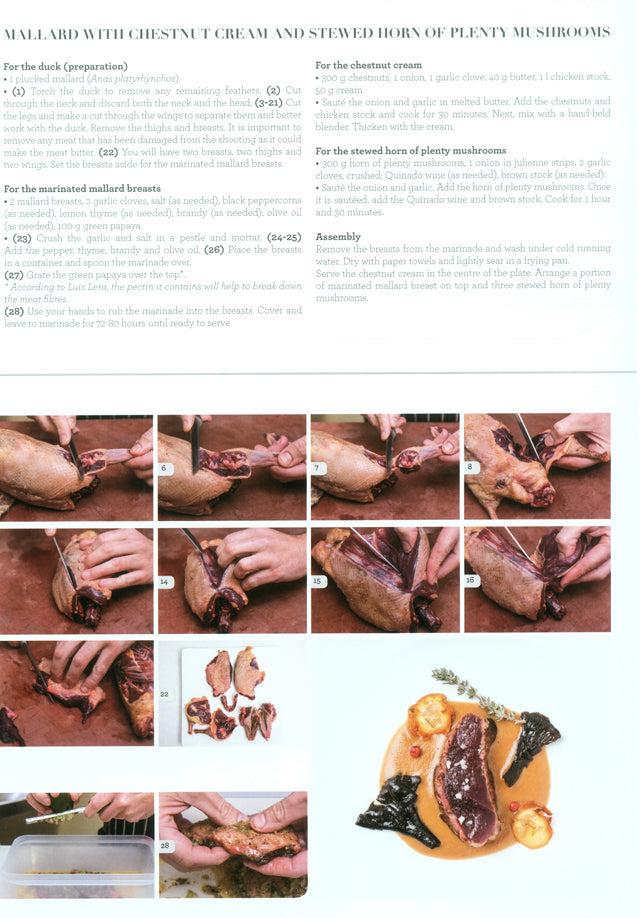 apicius n.30　スペイン語 英語 併記