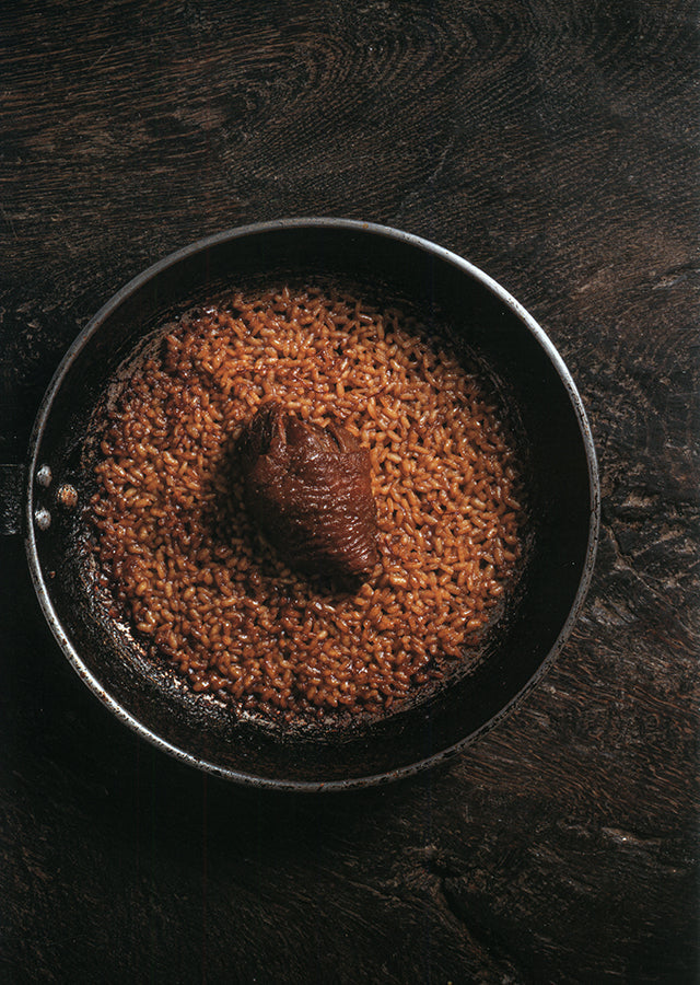 apicius n.33　スペイン語 英語 併記　絶版