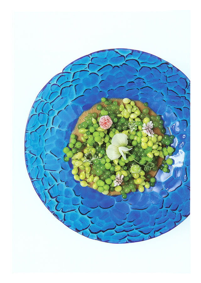 apicius n.33　スペイン語 英語 併記　絶版