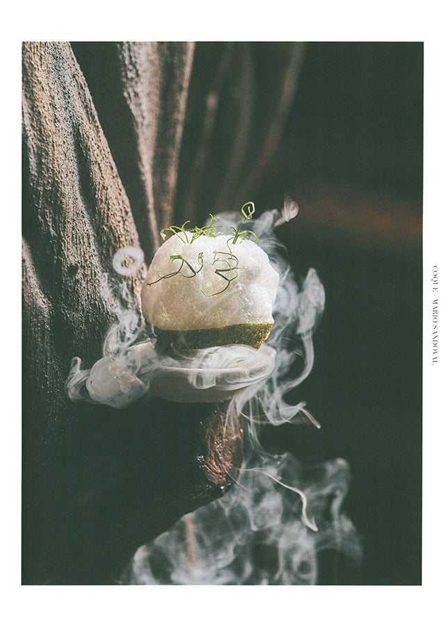 apicius n.38　スペイン語 英語 併記　絶版